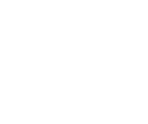 simulationHub by CCTech logo