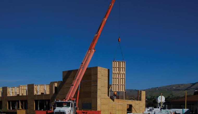 Project Frog teaser background